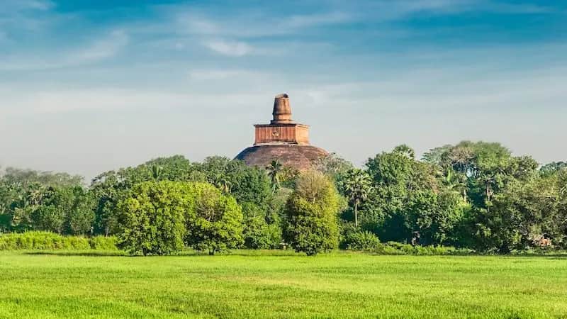 Hotels in Anuradhapura Where to stay in Anuradhapura: a view of the area