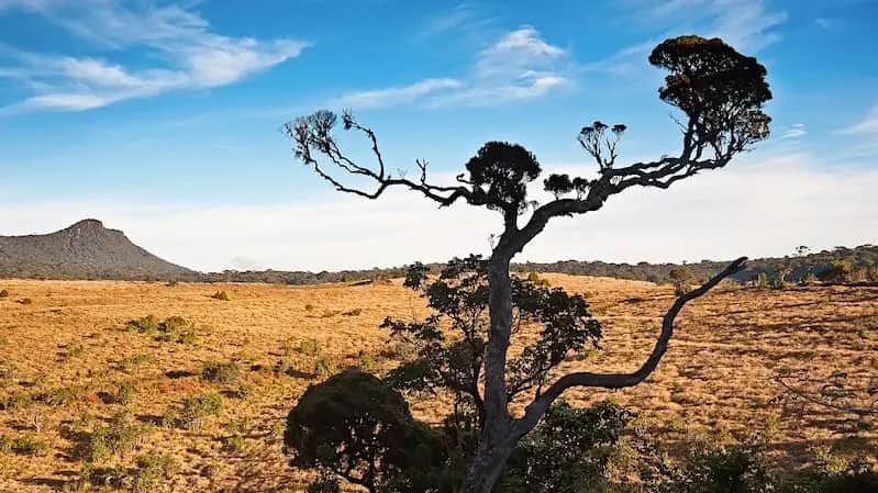 Hotels in Horton Plains Hotels and places to stay around Horton Plains, Sri Lanka