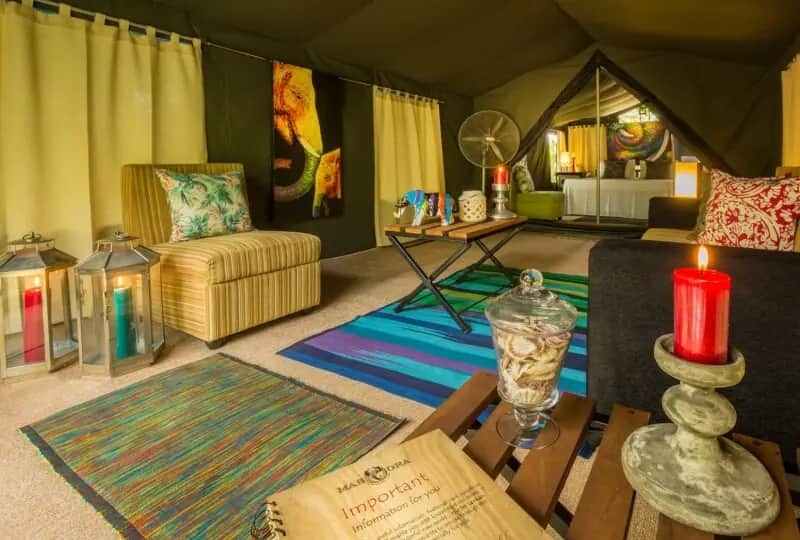 Classic Tent at Mahoora Tented Safari Camp in Yala, one of its room types
