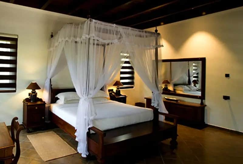 The Suite Rooms at Forest Rock Garden