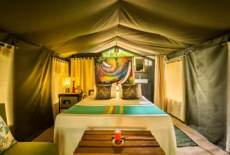 Eco luxury Sri Lanka holiday: a moment from this private trip