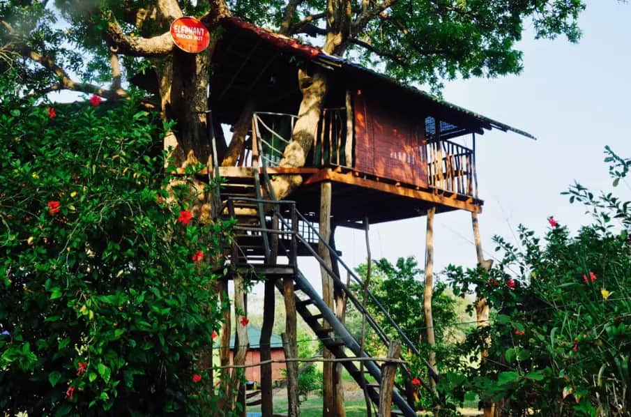 Travelling in Sri Lanka on the Rustic Stay in Habarana itinerary