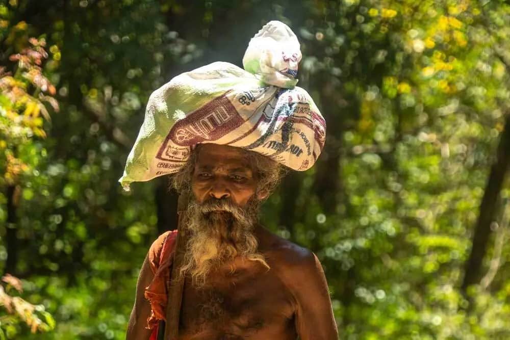 Travelling in Sri Lanka on the Live like a local itinerary