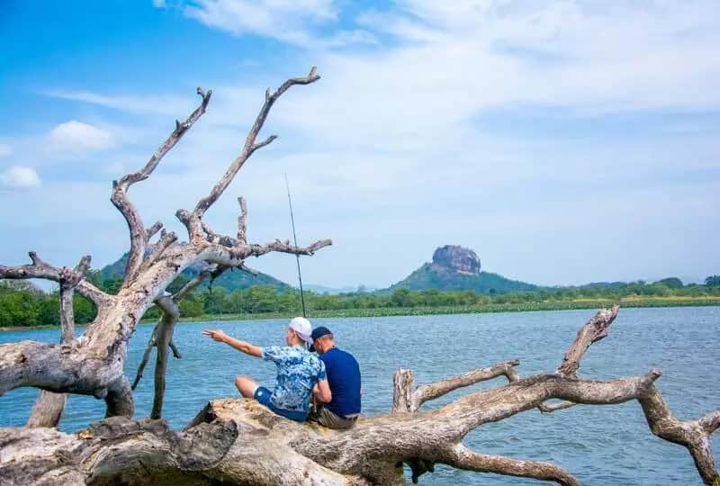 Popular Sri Lanka Roundtrip: a moment from this private trip