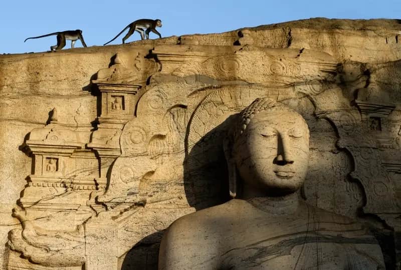 Travelling on the Treasures of Sri Lanka itinerary