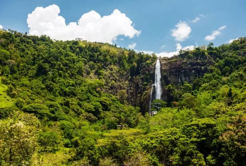 Bambarakanda Ella Falls in Horton Plains, one of the things to do in Sri Lanka