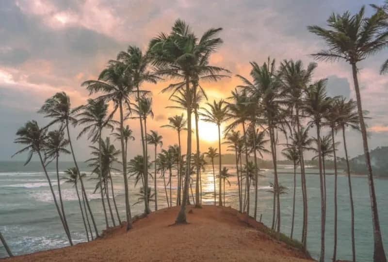A view of Coconut Tree Hill in Mirissa, Sri Lanka