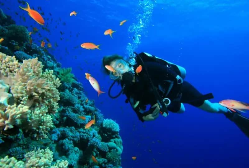 Diving in Galle, one of the things to do in Sri Lanka