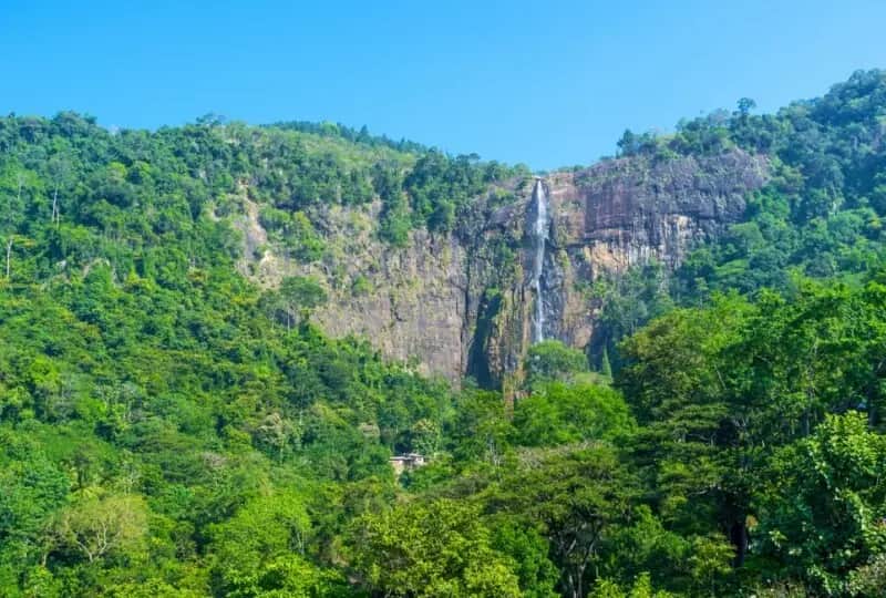 A view of Diyaluma Falls in Ella, Sri Lanka
