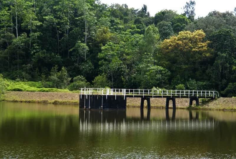 A view of Hiyare rainforest and reservoir in Koggala, Sri Lanka