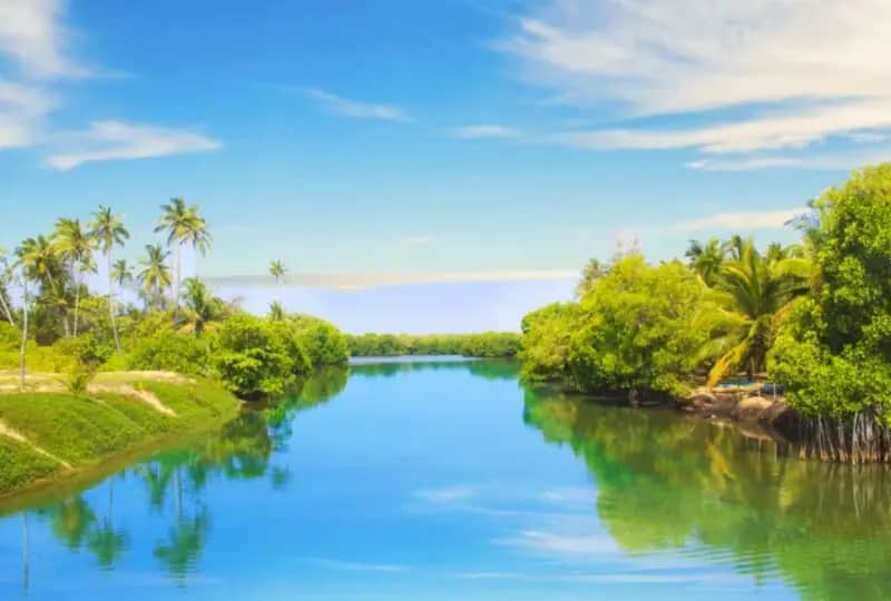 Koggala Lake, one of the things to do in Sri Lanka