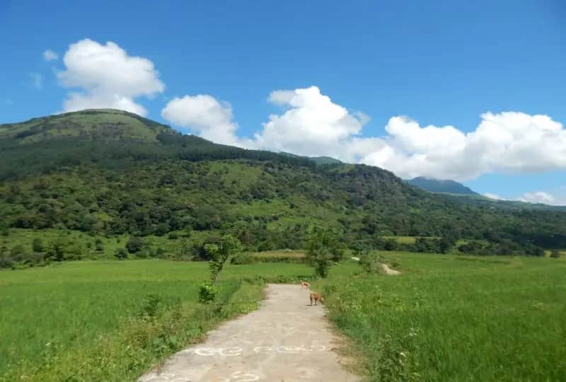 Laggala in Knuckles Range, Sri Lanka