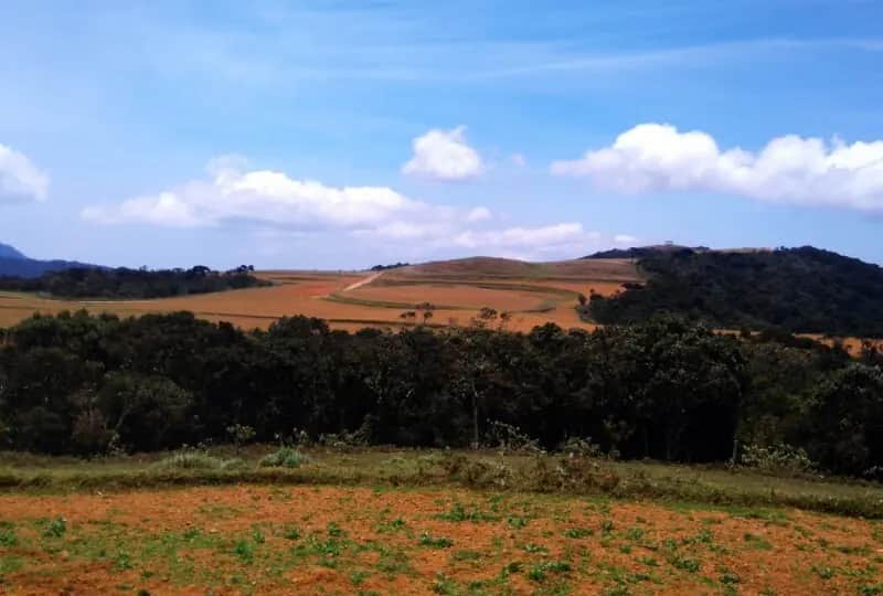A view of Moon Plains in Nuwara Eliya, Sri Lanka