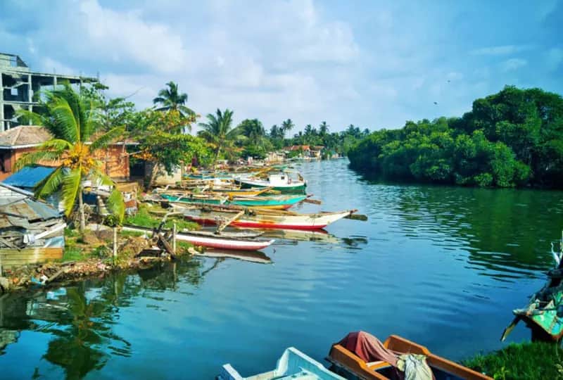 A view of Negombo Lagoon, Sri Lanka