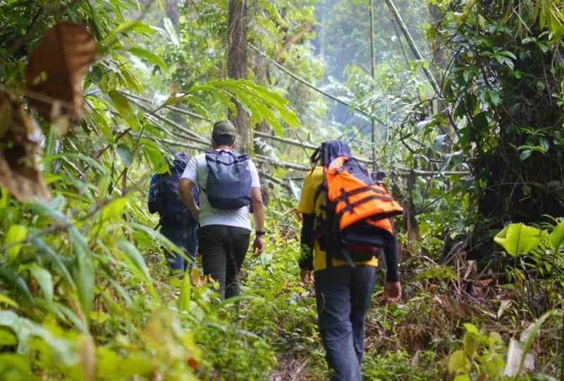 A view of Trekking in Sinharaja, Sri Lanka