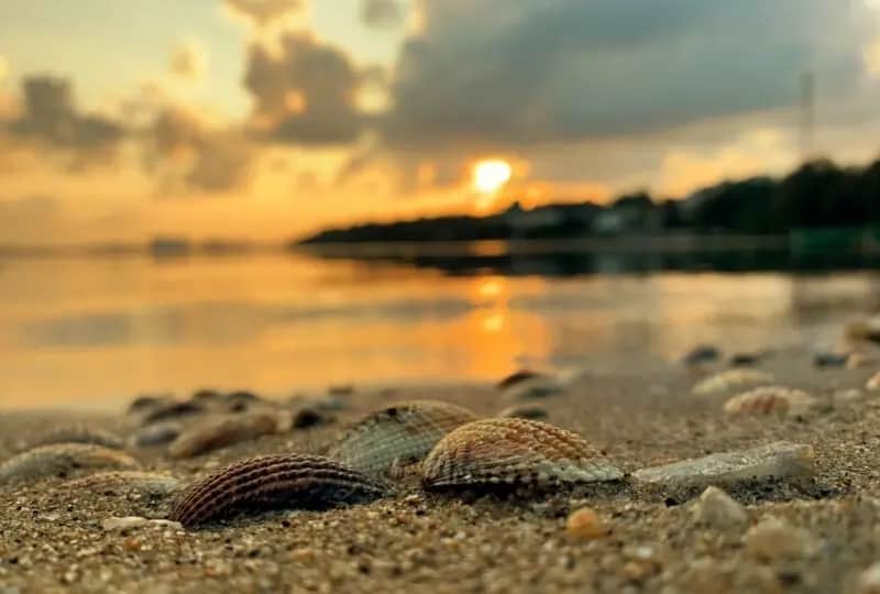 Trincomalee Harbour, one of the things to do in Sri Lanka
