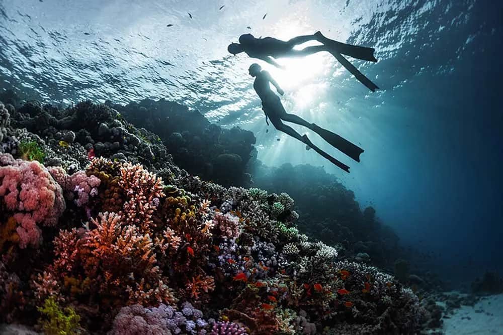Diving and Snorkelling: activities to plan into a Sri Lanka trip
