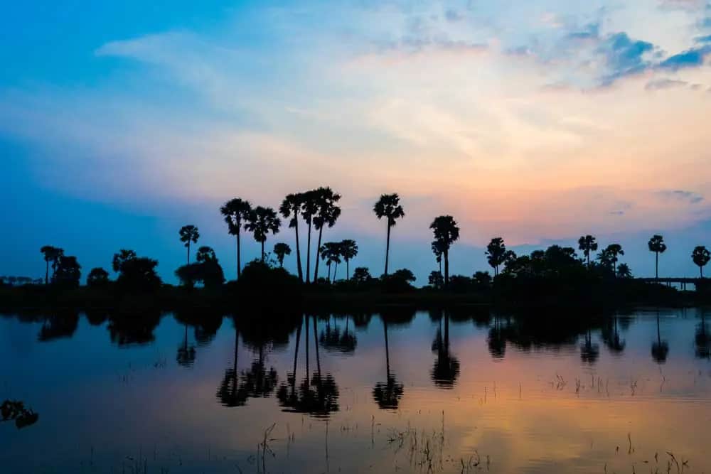 Exploring Jaffna on a Sri Lanka trip