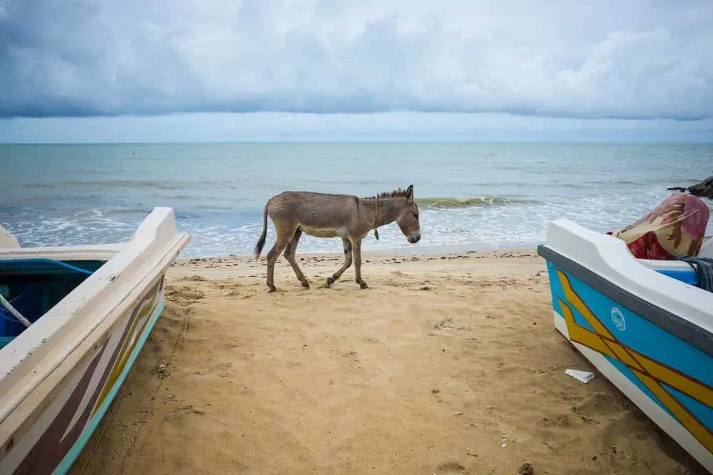 Sights and activities around North West Beach, Sri Lanka