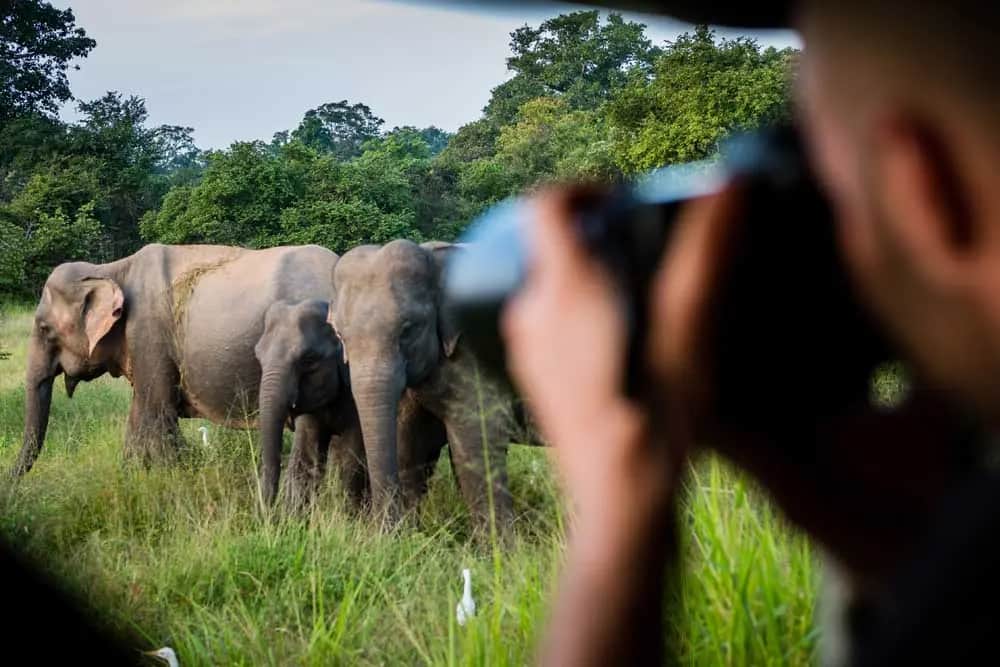 Things to see and do in Yala: a view of the area