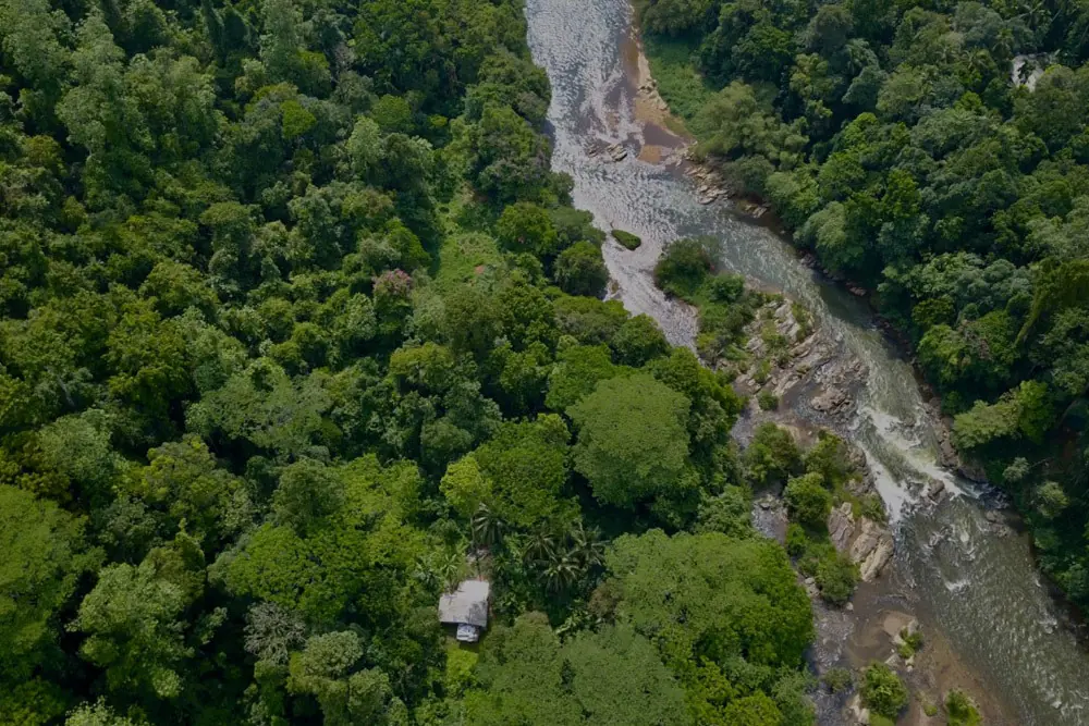 Kitulgala Forest Reserve Kitulgala-Waldreservat