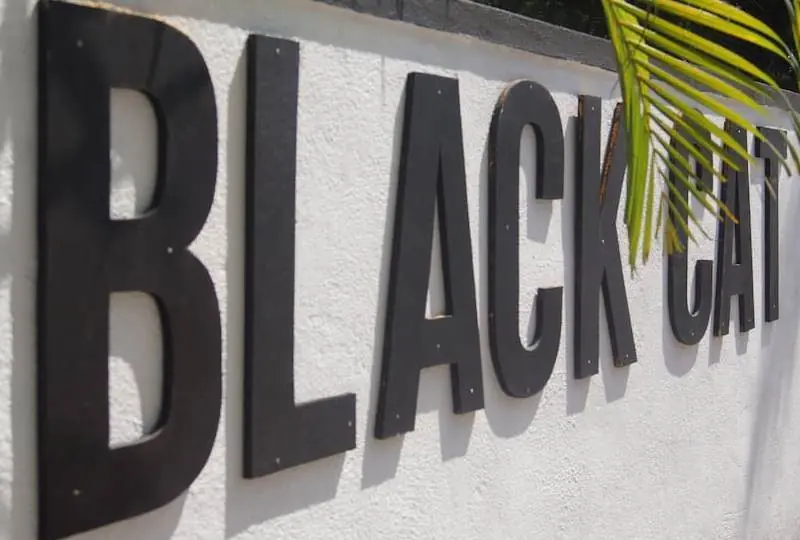 Black Cat Cafe &amp; Stay