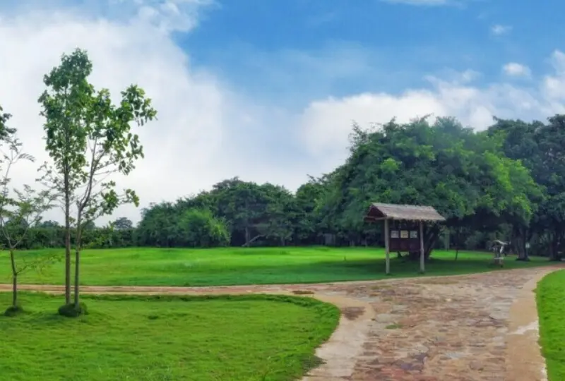 Camellia Resort and Spa