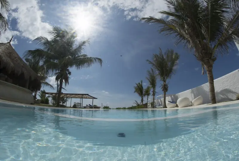 Dolphin Beach Resort Dolphin Beach Resort