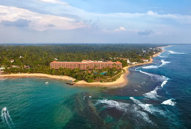 Hikka Tranz by Cinnamon Hikka Tranz by Cinnamon