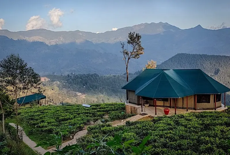 Madulkelle Tea and Eco Lodge