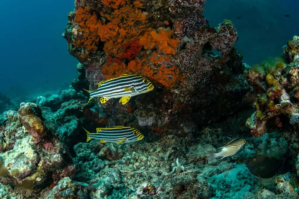 Things to do in East Coast