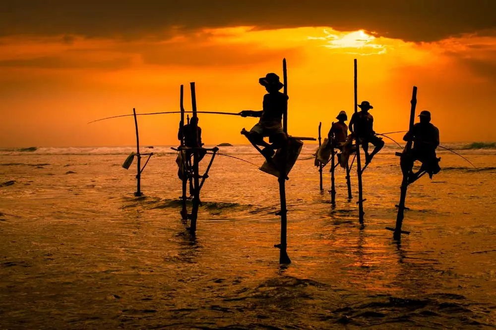 Things to do in Koggala