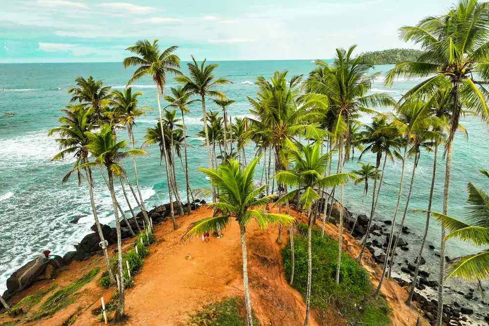 Things to do in Mirissa