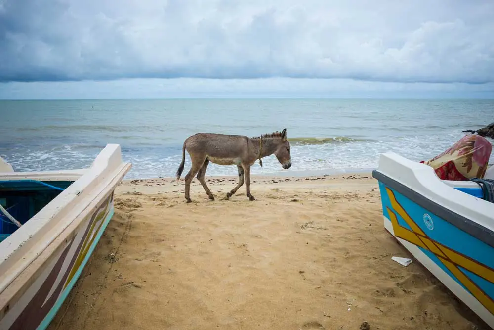 Things to do in North West Beach