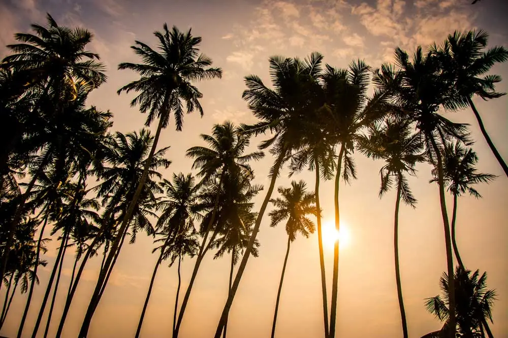 Things to do in Wadduwa