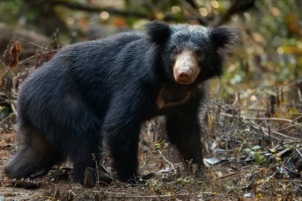 Things to do in Wildlife Parks and Nature Reserves