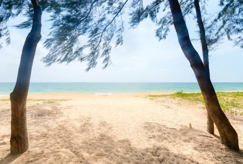 Casuarina Strand Casuarina Strand