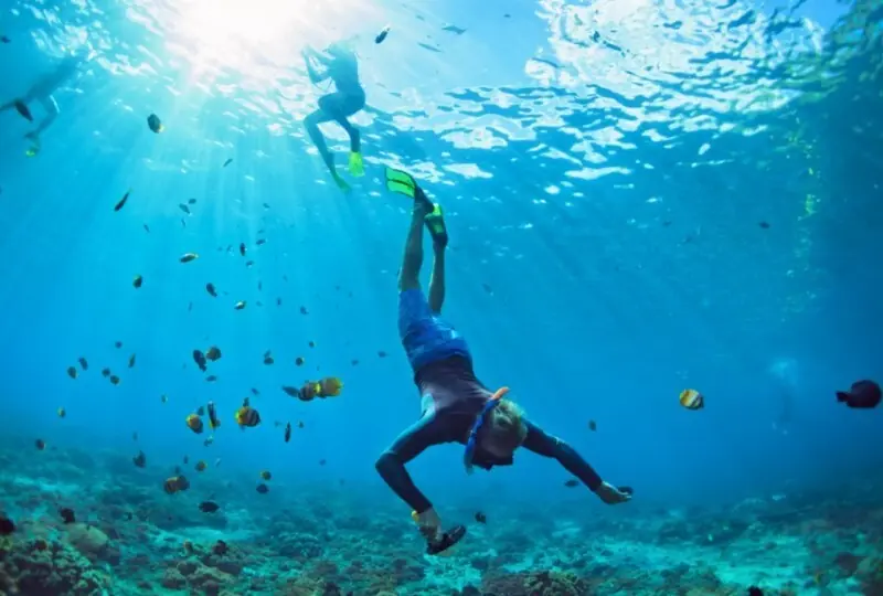Diving and Snorkelling in Bentota