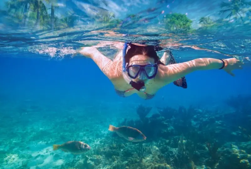 Tauchen und Schnorcheln in Mirissa Tauchen und Schnorcheln in Mirissa