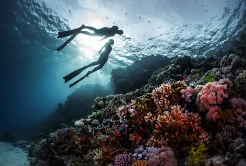 Tauchen und Schnorcheln in Weligama