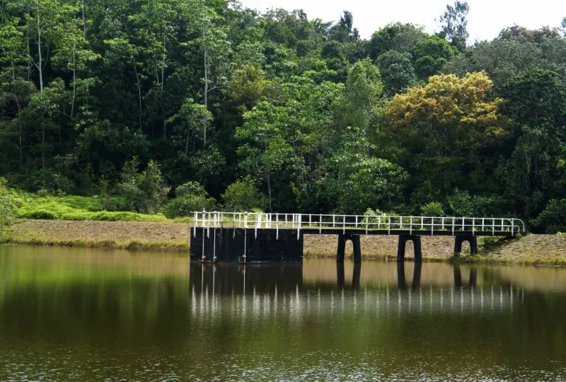 Hiyare rainforest and reservoir