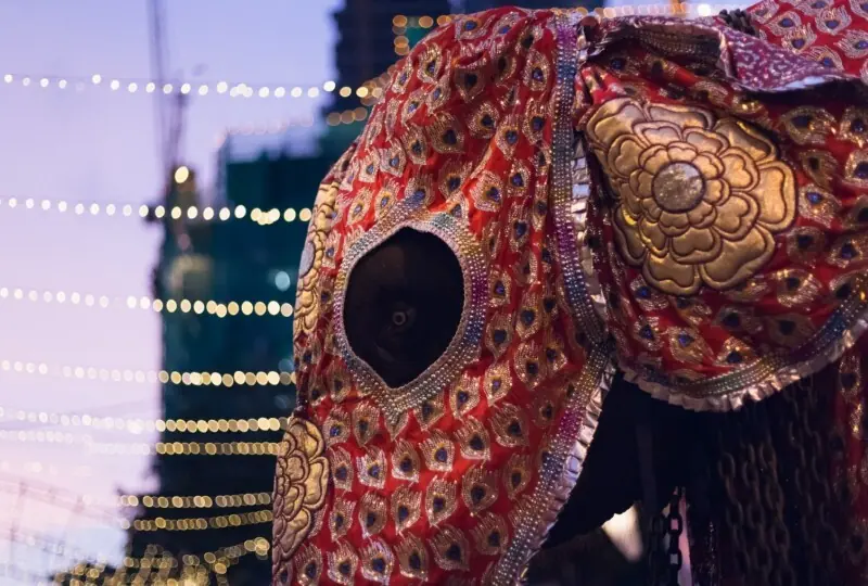 Kandy Esala Perahera Kandy Esala Perahera