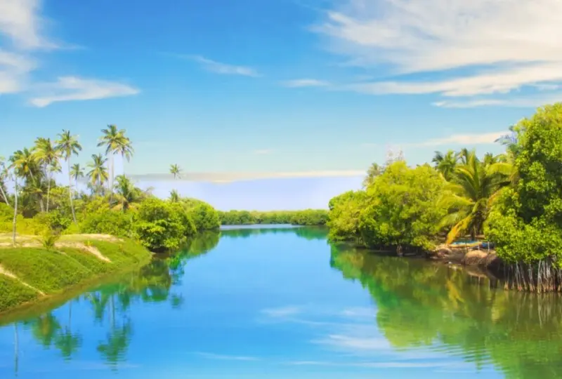 Koggala See Koggala See