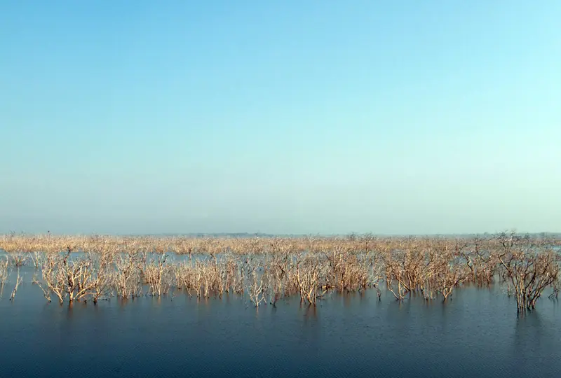 Lunugamvehera Nationalpark