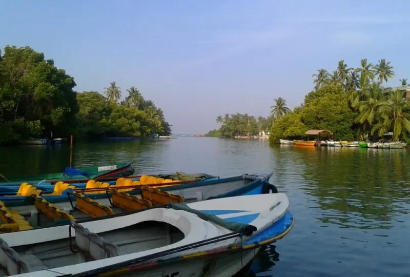 Mangroven-Safari und Fisch-Spa im Madu River Mangroven-Safari und Fisch-Spa im Madu River
