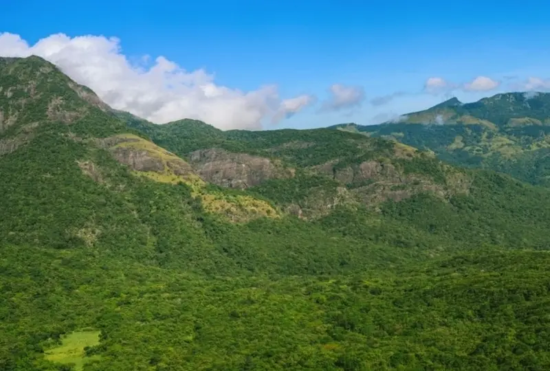 Pitawala Pathana Pitawala Pathana