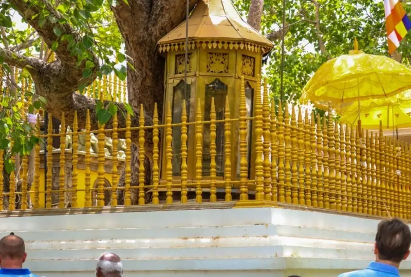Sri Jaya Sri Maha Bodhi Sri Jaya Sri Maha Bodhi