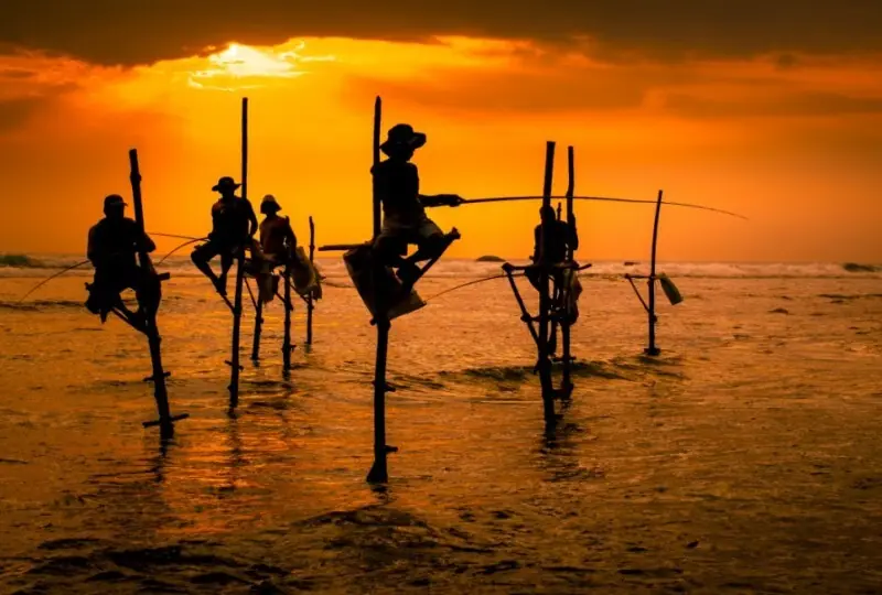 Die Stelzenfischer des Südens