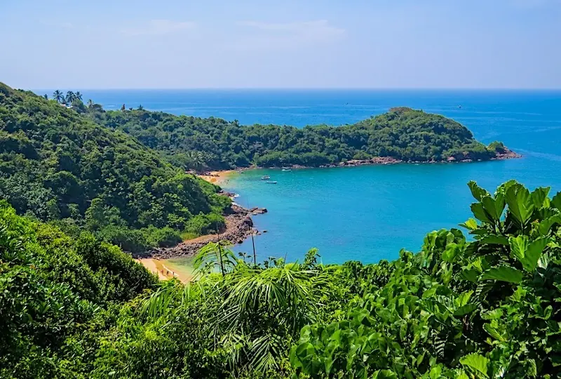 Der Dschungelstrand Der Dschungelstrand