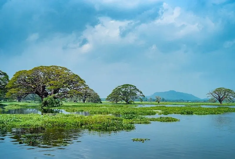 Weerawila Tissa Sanctuary